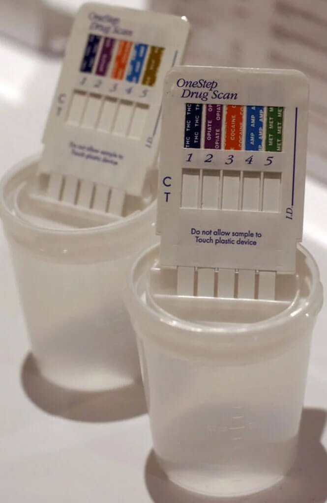 lab